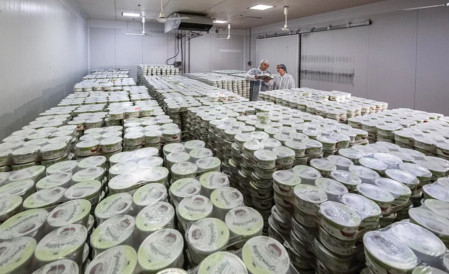 Redwood Hill Farm & Creamery’s plant gears up for growth