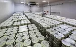 Redwood Hill Farm & Creamery’s plant gears up for growth