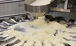 Schreiber Foods' cheese operations are built to impress