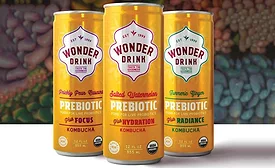 Wonder Drink Kombucha 