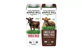 maple hill