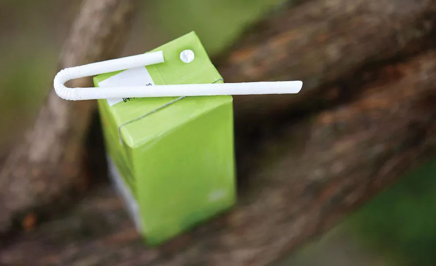 The Paper Straw Co.