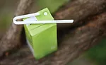 The Paper Straw Co.