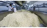 Rumiano Cheese Co.’s plant closes the loop