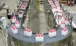 Conveys and palletizers keep it moving