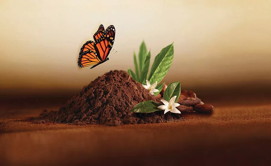 Olam Cocoa