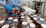 High Road Craft Brands scales up its operation