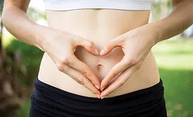 Added dietary fiber could benefit dairy products