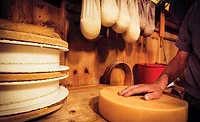 Cultures and enzymes are hard workers Cultures and enzymes are hard workers