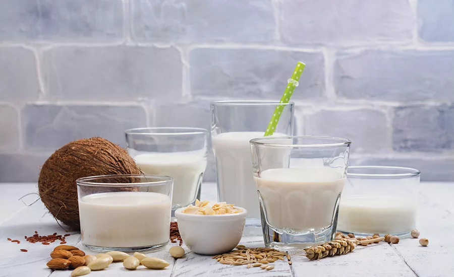 2020 State of the Industry: Ingredients for dairy products take innovation to new heights
