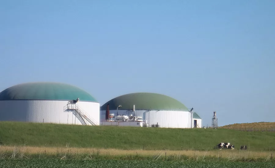 Dairy processors collectively push for sustainability