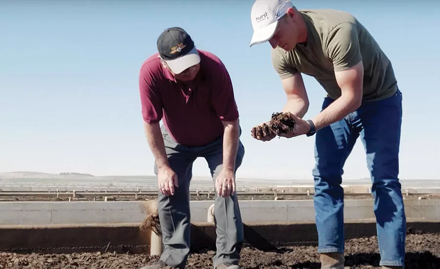 Dairy processors collectively push for sustainability