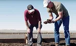 Dairy processors collectively push for sustainability