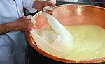 Rethink food safety programs to identify microbial hot spots