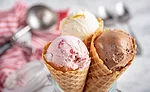 The quest for sugar reduction in dairy products