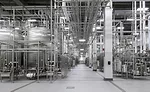 MWC-Whey-Process.jpg