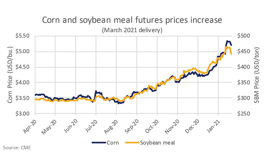 Higher feed costs will ripple through dairy markets