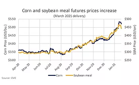 Higher feed costs will ripple through dairy markets