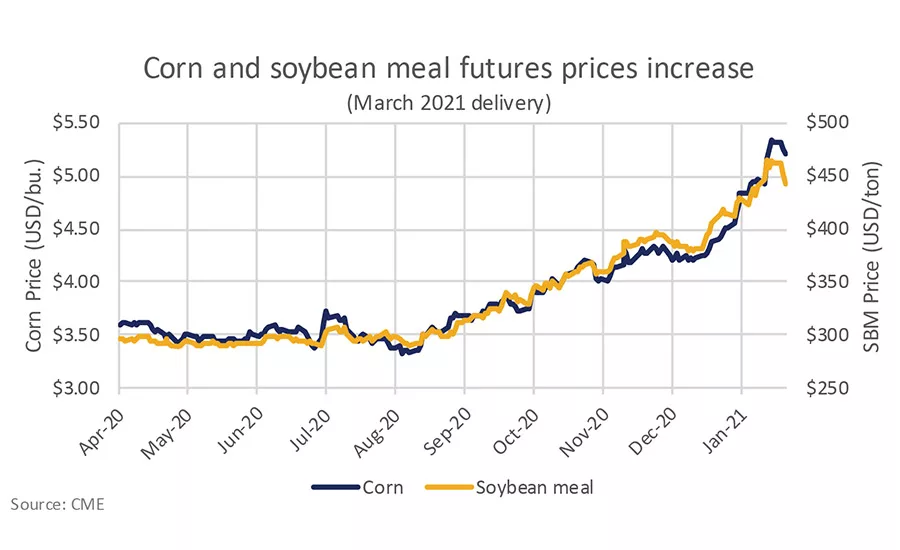 Higher feed costs will ripple through dairy markets