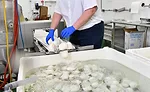Crave Brothers Farmstead Cheese’s plant is a model of sustainability