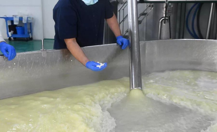Crave Brothers Farmstead Cheese’s plant is a model of sustainability