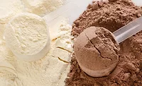 whey protein whey protein