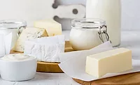 cheese types cheese types