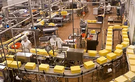 inspection and detection devices
