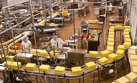 inspection and detection devices