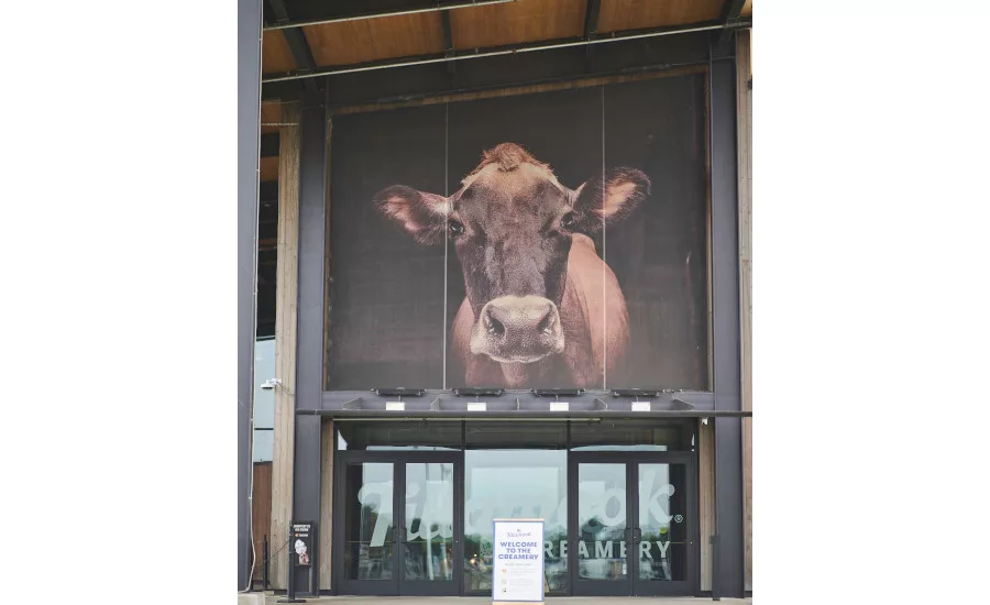 Tillamook (3) (1).jpg