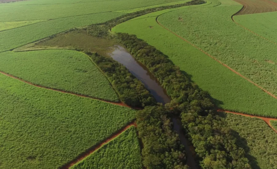 Global Organics