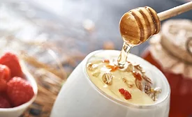honey and yogurt