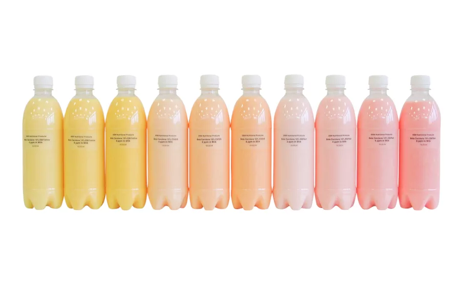 DSM Food and Beverage