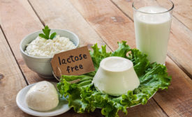 lactose free dairy