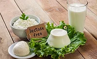 lactose free dairy lactose free dairy