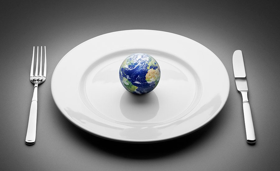 world on a plate