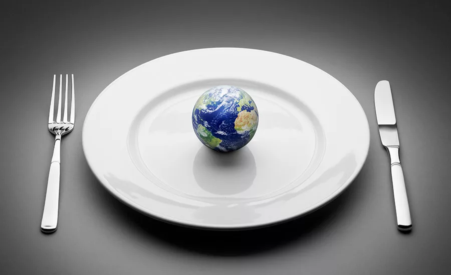 world on a plate
