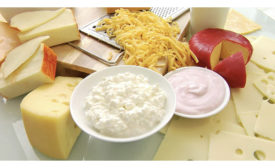 different types of cheese