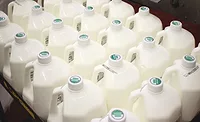 milk bottles