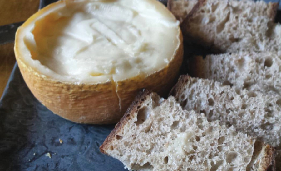 Los cultivos y las enzimas facilitan los sabores distintivos del queso 14 cheese and bread