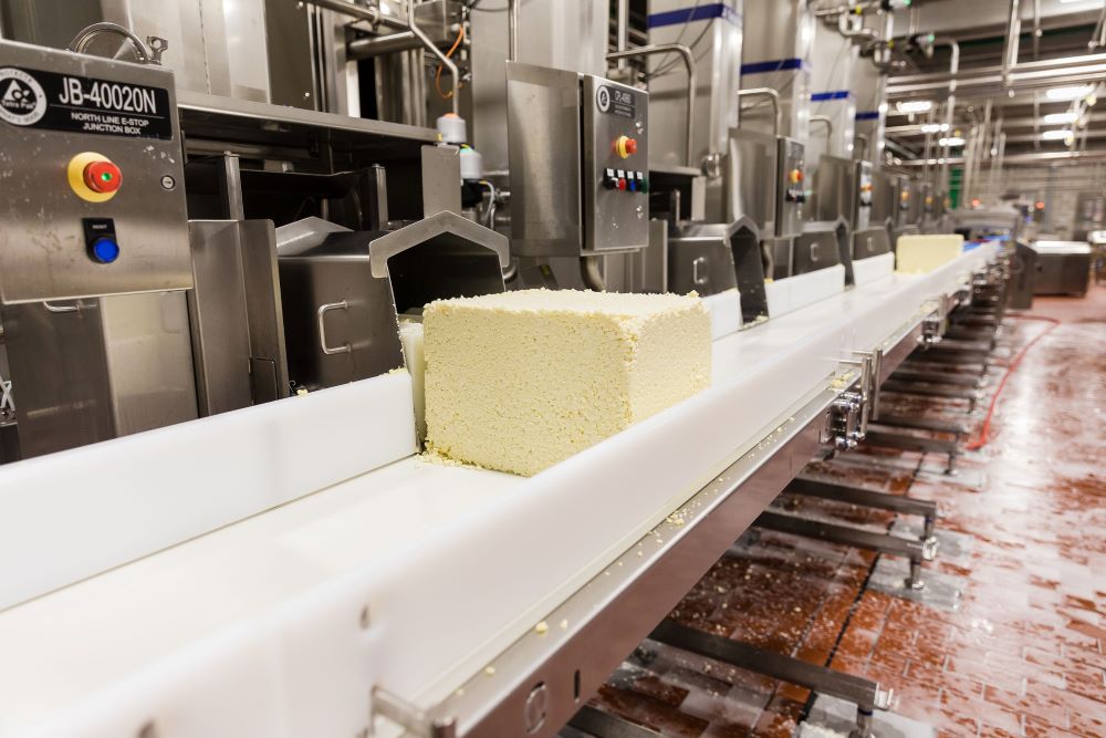 cheese on conveyor