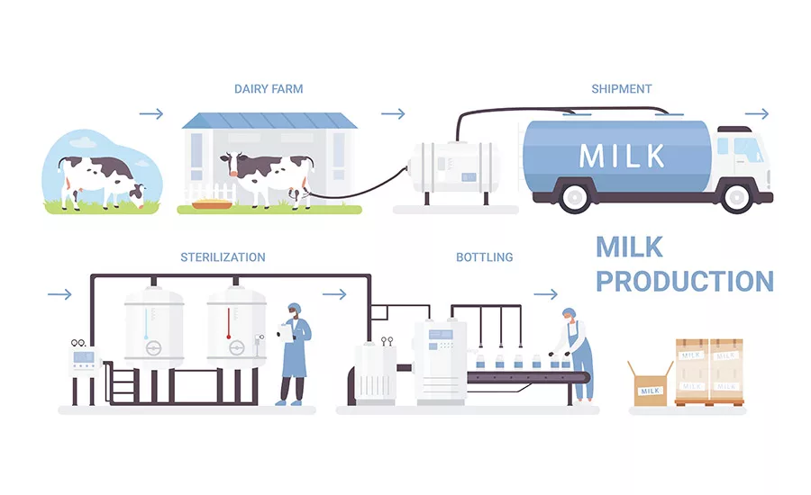 milk production