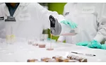 Nellson Nutraceutical