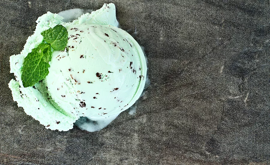 mint chocolate chip