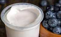 blueberry yougurt and blueberries blueberry yougurt and blueberries