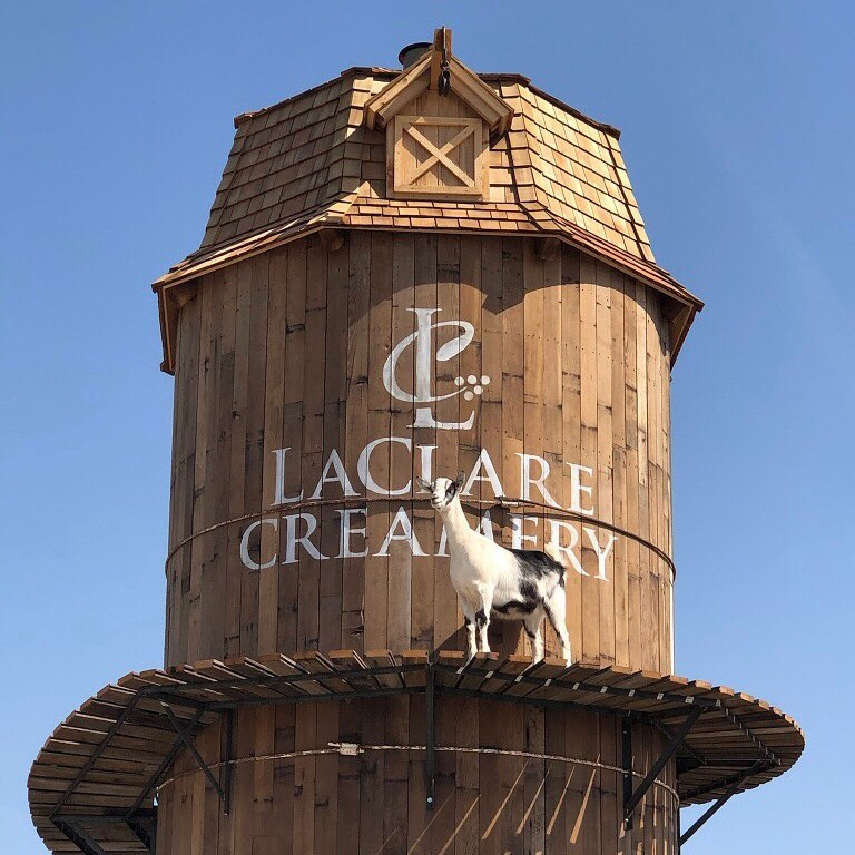 goat on a wooden building