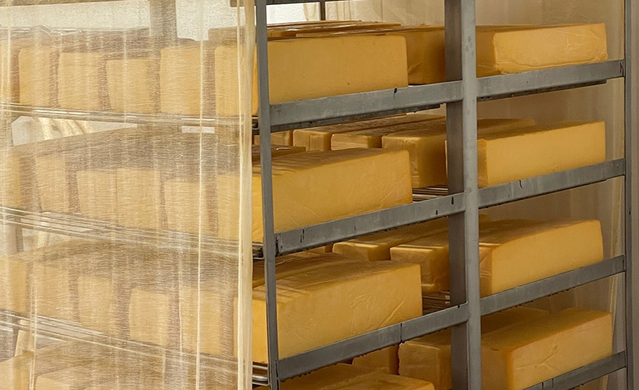 The dairys award-winning Cheddar cheese in 5-pound blocks gets enhanced flavor in the smoking room.