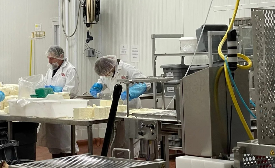 Pineland team members handcraft 3,200 to 6,400 pounds (2 to 4 vats) of specialty cheese daily,