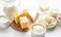dairy products dairy products
