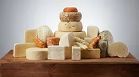 variety of cheese